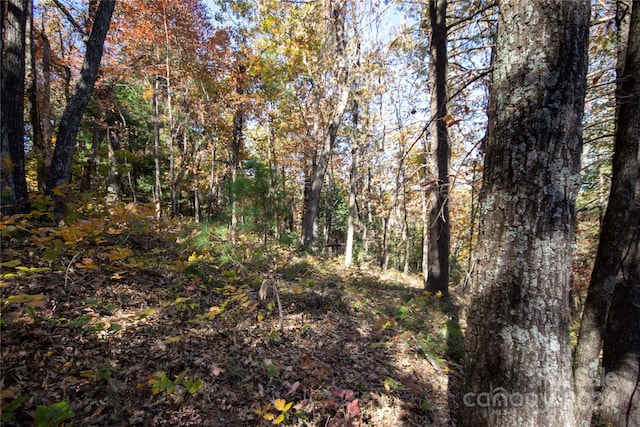 22 Hackberry Rd Unit 22, Connelly Springs, NC 28612