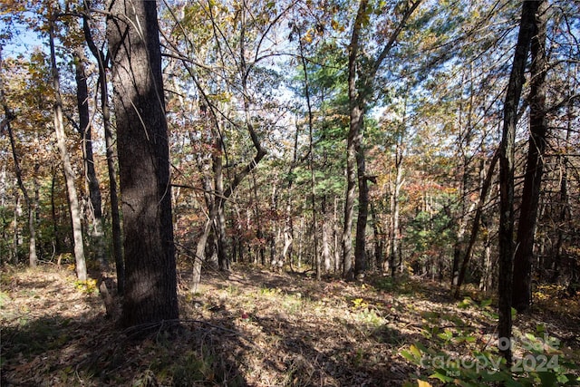 22 Hackberry Rd Unit 22, Connelly Springs, NC 28612