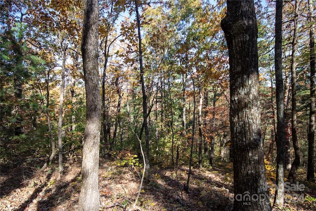 22 Hackberry Rd Unit 22, Connelly Springs, NC 28612