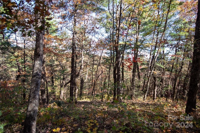 22 Hackberry Rd Unit 22, Connelly Springs, NC 28612