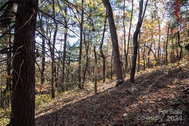 22 Hackberry Rd Unit 22, Connelly Springs, NC 28612