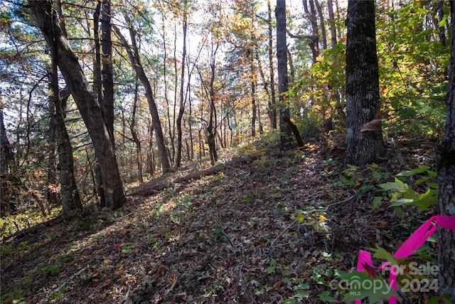 22 Hackberry Rd Unit 22, Connelly Springs, NC 28612