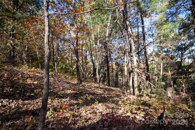 22 Hackberry Rd Unit 22, Connelly Springs, NC 28612