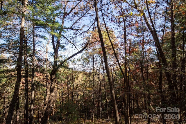 22 Hackberry Rd Unit 22, Connelly Springs, NC 28612