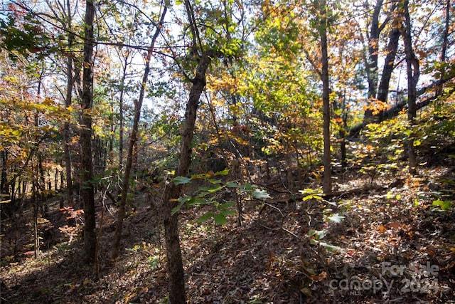 22 Hackberry Rd Unit 22, Connelly Springs, NC 28612