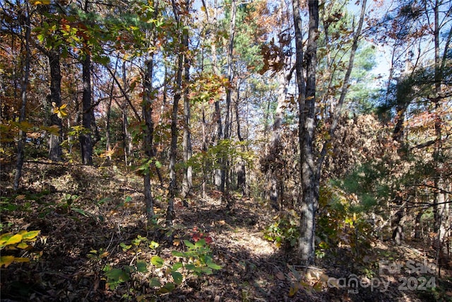 22 Hackberry Rd Unit 22, Connelly Springs, NC 28612