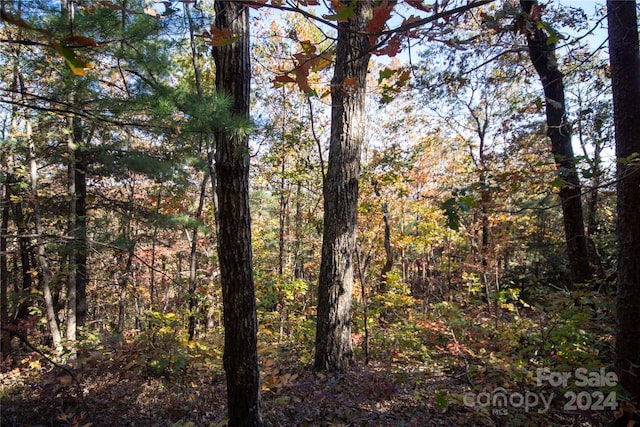 22 Hackberry Rd Unit 22, Connelly Springs, NC 28612