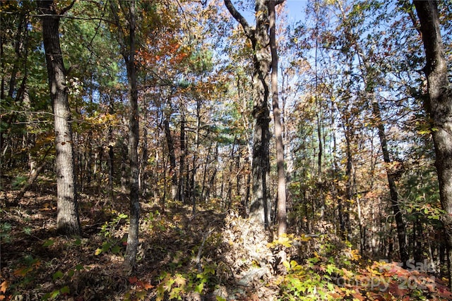 22 Hackberry Rd Unit 22, Connelly Springs, NC 28612