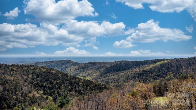 22 Hackberry Rd Unit 22, Connelly Springs, NC 28612