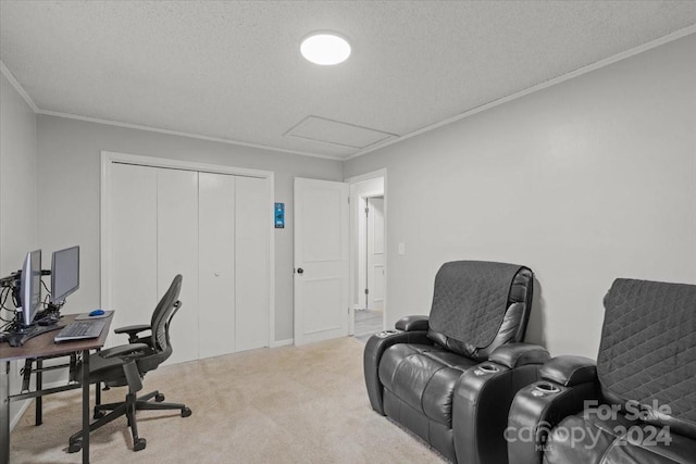 office featuring carpet, a textured ceiling, and ornamental molding