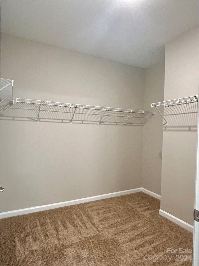 walk in closet with carpet