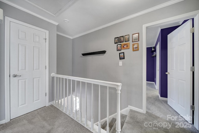 hallway with ornamental molding and light carpet