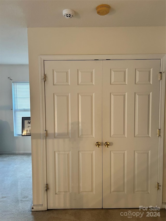 room details featuring carpet floors