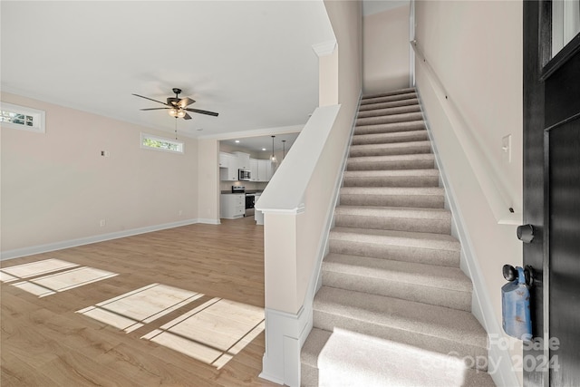 staircase featuring hardwood / wood-style flooring, ceiling fan, and crown molding