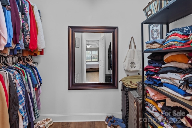 spacious closet with hardwood / wood-style flooring