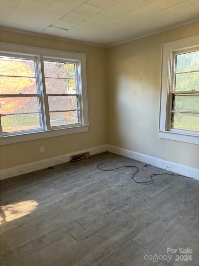 empty room featuring a wealth of natural light, crown molding, and wood-type flooring