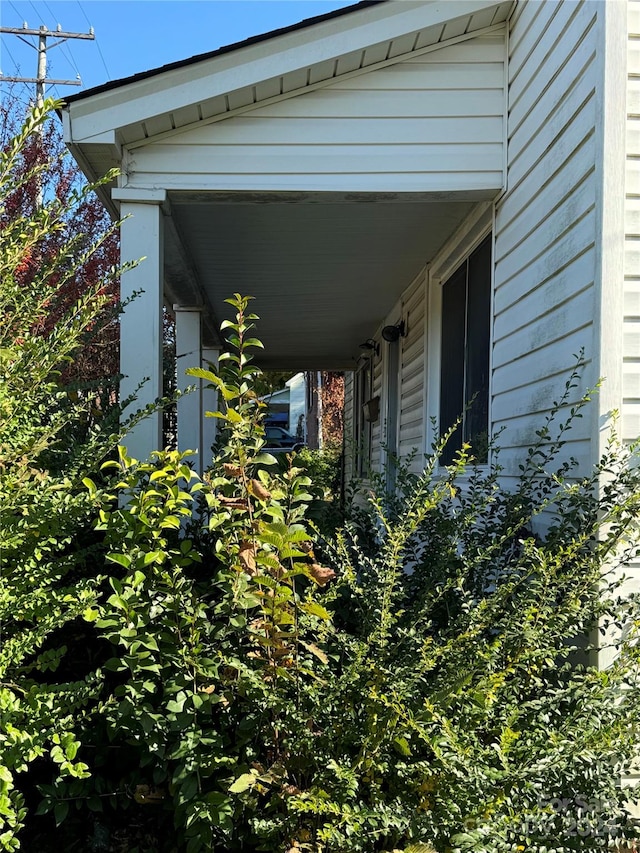 details featuring wood walls