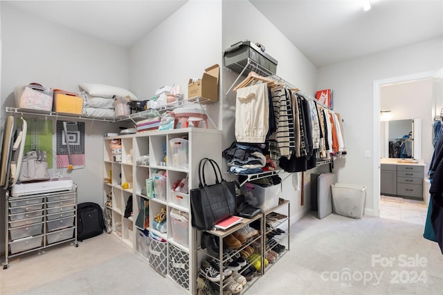 spacious closet with light carpet