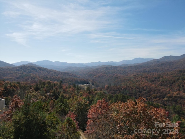 Listing photo 3 for 900 Sunset Trace Trl, Franklin NC 28743