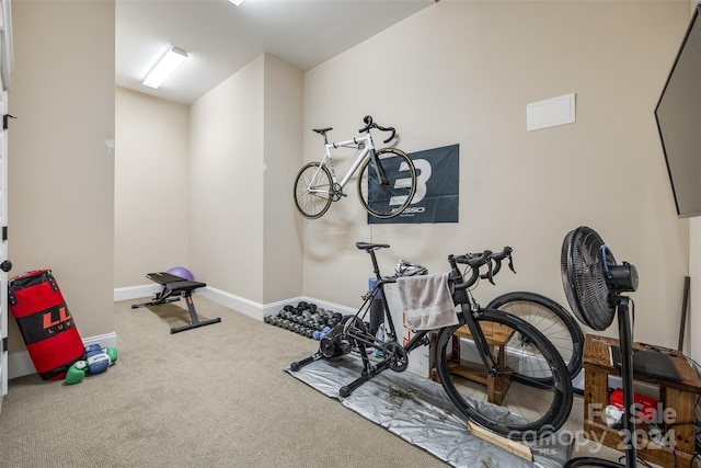 workout area featuring carpet