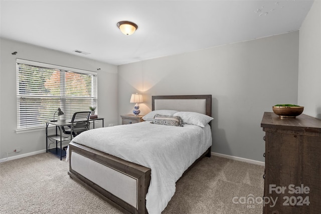 bedroom featuring carpet floors