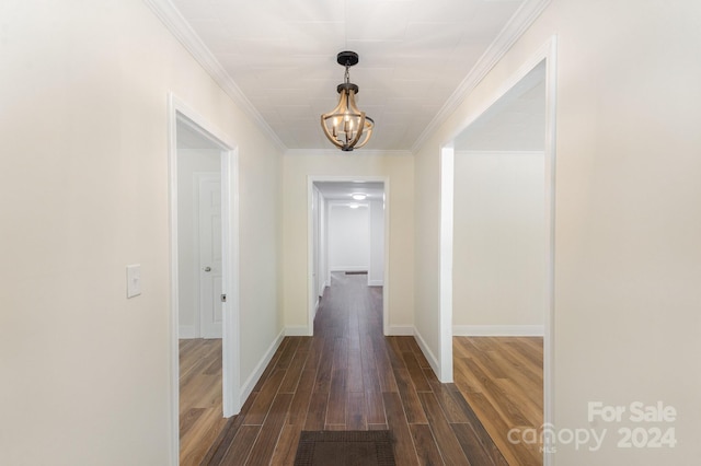 hallway with crown molding, a chandelier, and dark hardwood / wood-style flooring