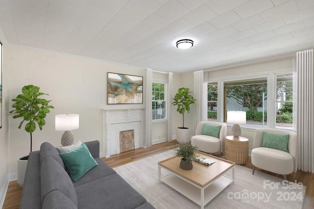 living room with light hardwood / wood-style flooring