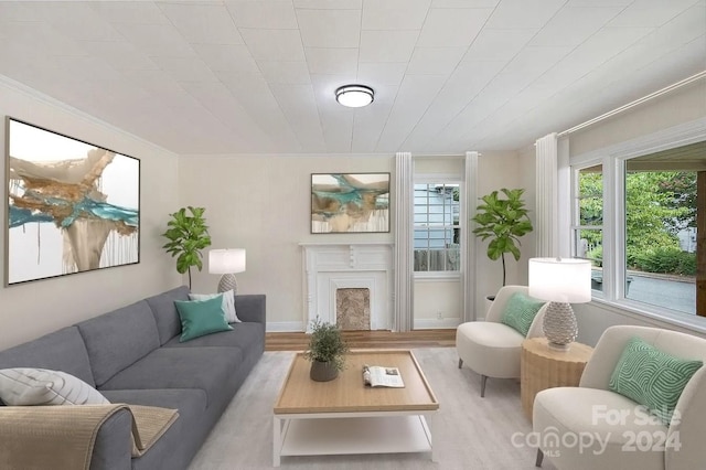 living room featuring ornamental molding, light hardwood / wood-style flooring, and a fireplace