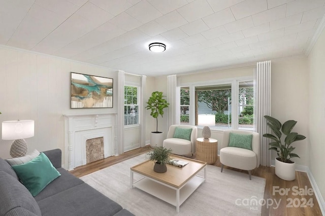 living room featuring ornamental molding and light hardwood / wood-style floors