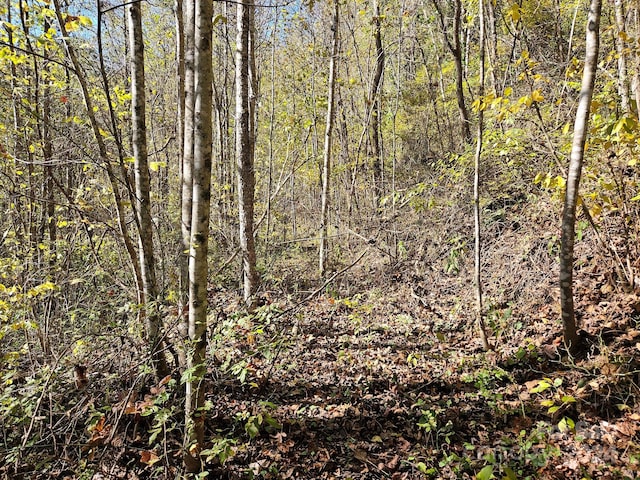 0000 Woodfin Rd, Sylva NC, 28779 land for sale