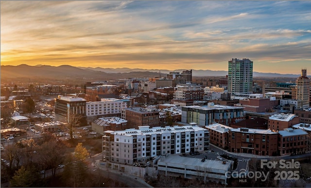 city view featuring a mountain view