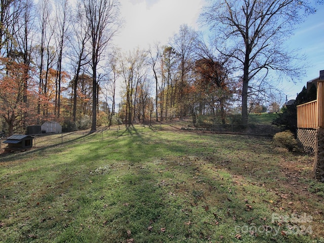 view of yard with a storage shed