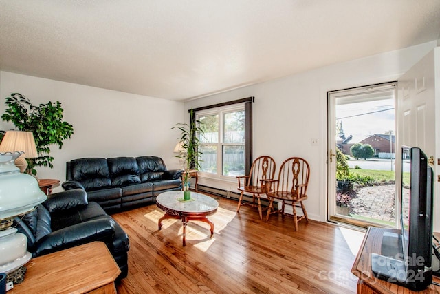 living room featuring hardwood / wood-style floors