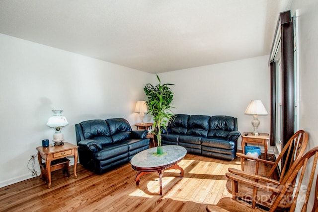 living room with wood-type flooring