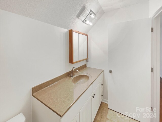 1259 Blacksnake Rd, Stanley, NC 28164 - bathroom with a textured ceiling, vaulted ceiling, and vanity