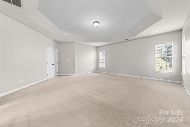 carpeted spare room featuring a raised ceiling