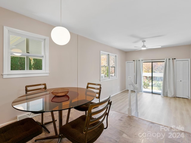 dining area with ceiling fan and light wood-type flooring