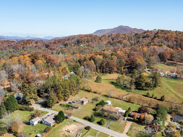 birds eye view of property with a mountain view