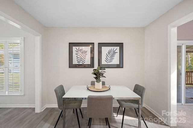 dining room with wood-type flooring