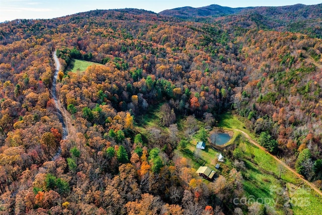 2909 Pine Mountain Dr, Connelly Springs, NC 28612