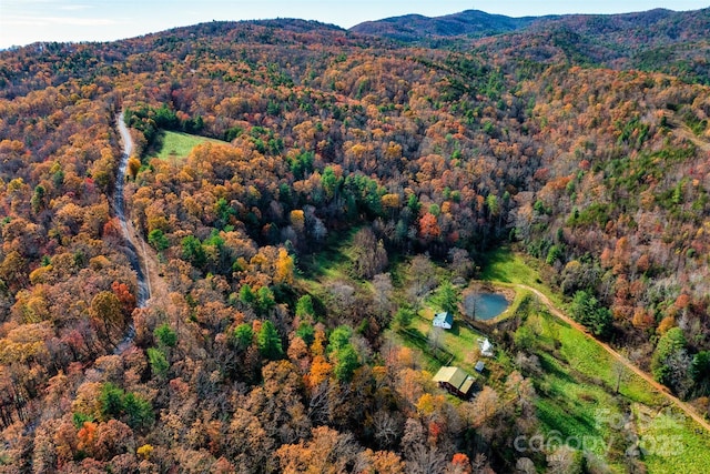 2909 Pine Mountain Dr, Connelly Springs NC, 28612 land for sale