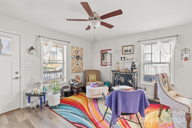 living area with ceiling fan, a wealth of natural light, and light wood-type flooring