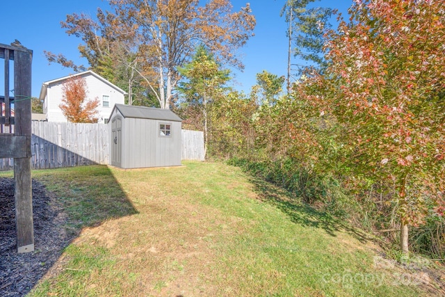 view of yard with a shed