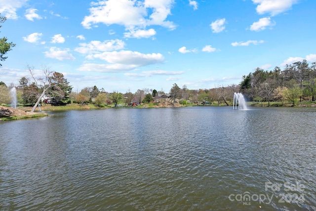 view of water feature