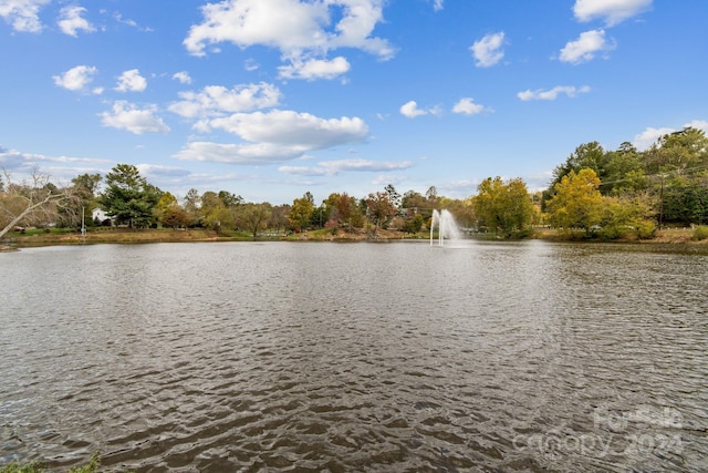 view of water feature