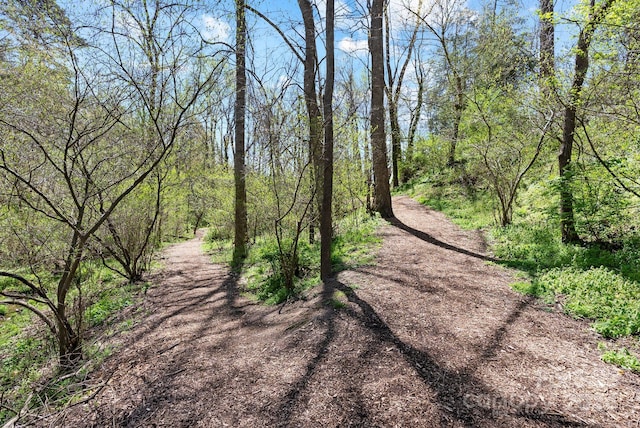 view of nature