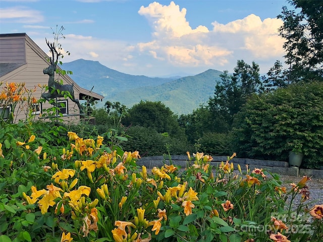 514 Skyridge Dr, Clyde, NC 28721 - mountain view