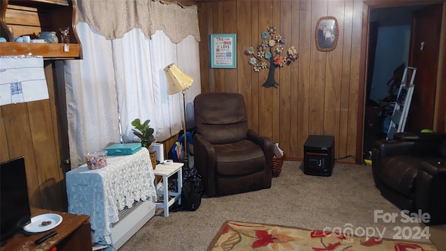 interior space with wood walls