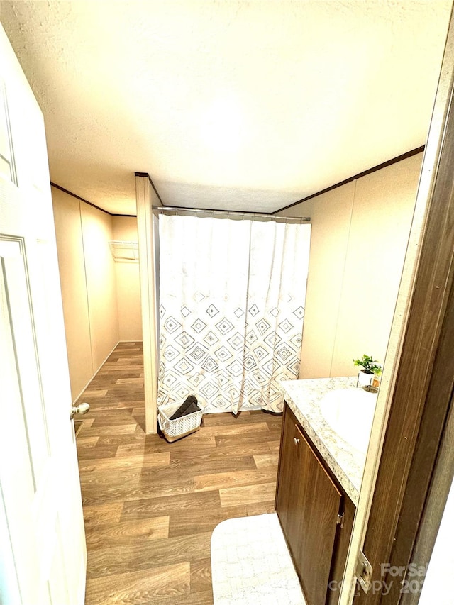 bathroom with hardwood / wood-style floors and vanity