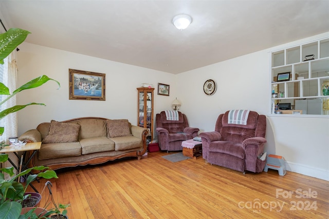 living room featuring light hardwood / wood-style flooring